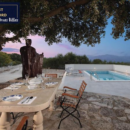 Villa Dubrava Tranquil Retreat Nestled In An Olive Grove For Serene Escapes Pucisca Exterior photo