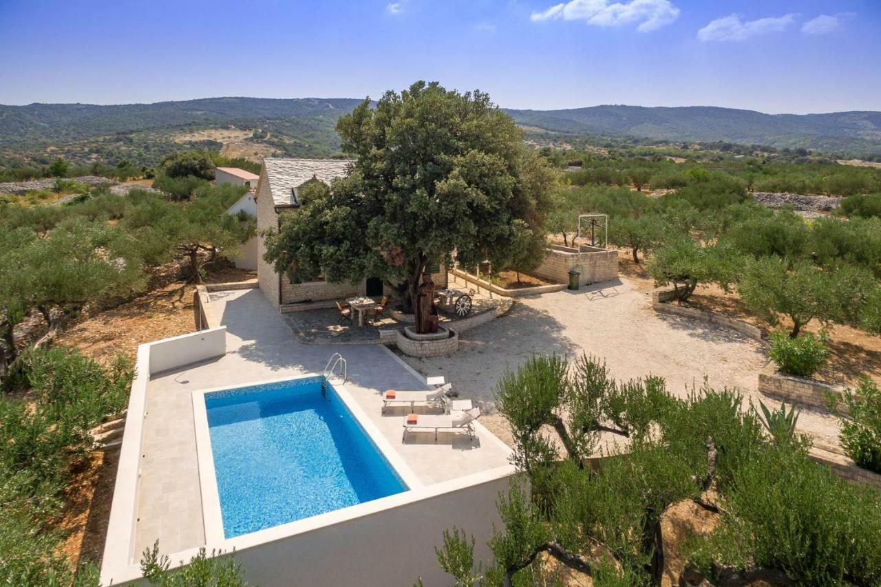 Villa Dubrava Tranquil Retreat Nestled In An Olive Grove For Serene Escapes Pucisca Exterior photo