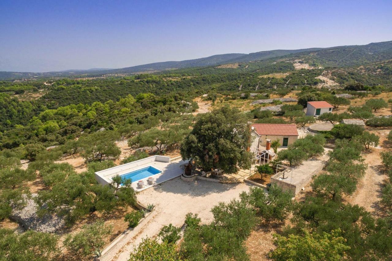 Villa Dubrava Tranquil Retreat Nestled In An Olive Grove For Serene Escapes Pucisca Exterior photo