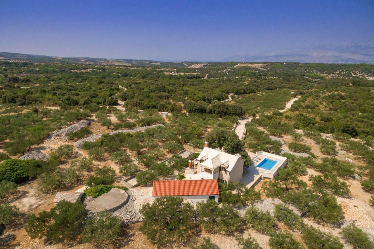 Villa Dubrava Tranquil Retreat Nestled In An Olive Grove For Serene Escapes Pucisca Exterior photo