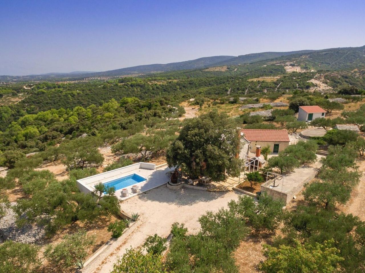 Villa Dubrava Tranquil Retreat Nestled In An Olive Grove For Serene Escapes Pucisca Exterior photo