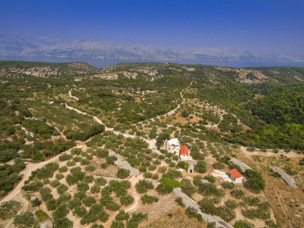 Villa Dubrava Tranquil Retreat Nestled In An Olive Grove For Serene Escapes Pucisca Exterior photo